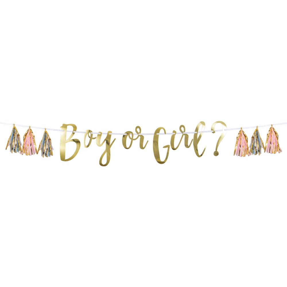Boy or Girl Tassel Banner Streamer | Baby Shower