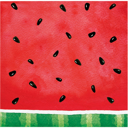 Watermelon Check Beverage Napkins 16ct | Summer