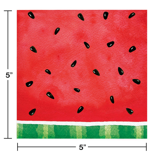 Watermelon Check Beverage Napkins 16ct | Summer