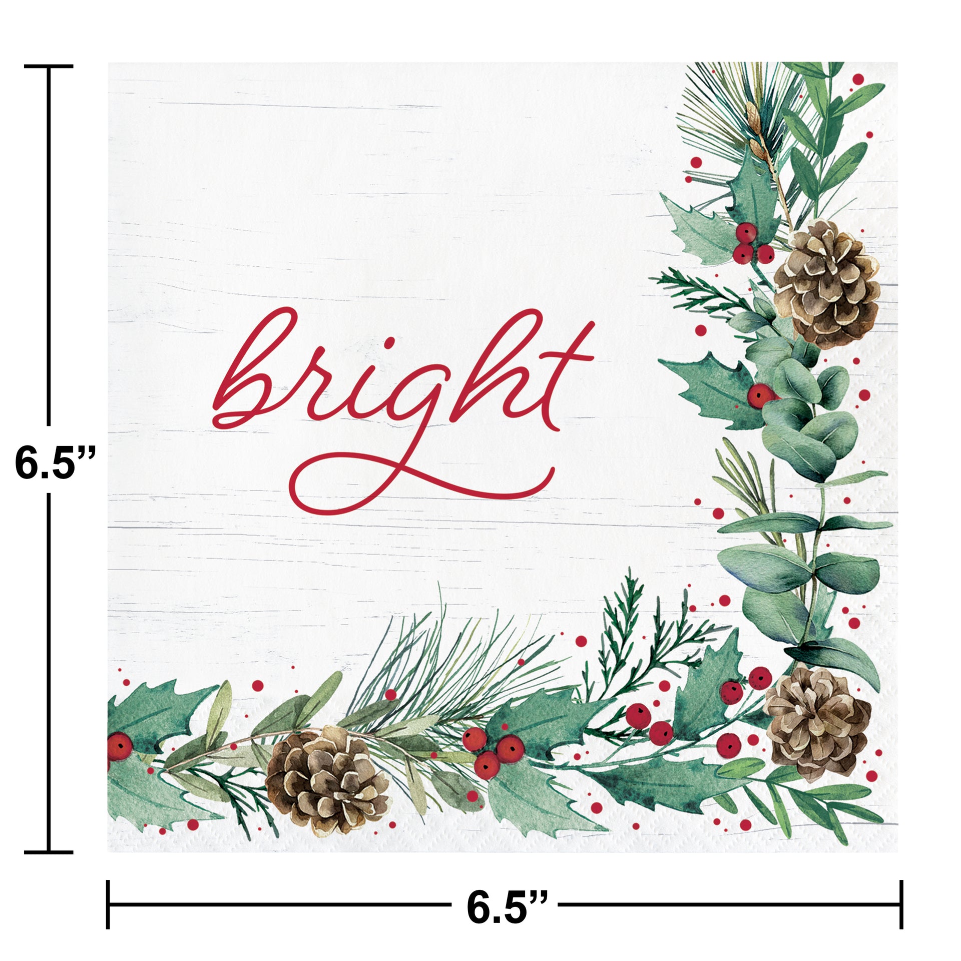 Bright Luncheon Napkins 16ct | Christmas
