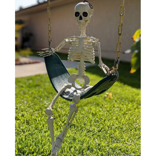 skeleton in yard
