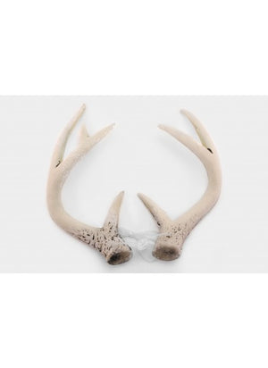 deer antlers