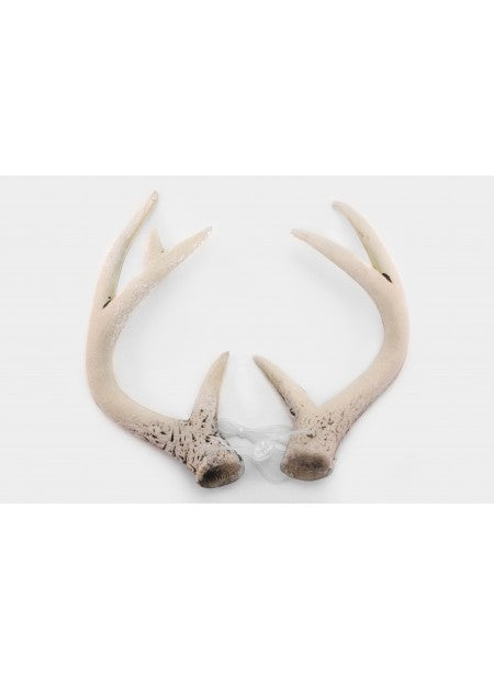 deer antlers