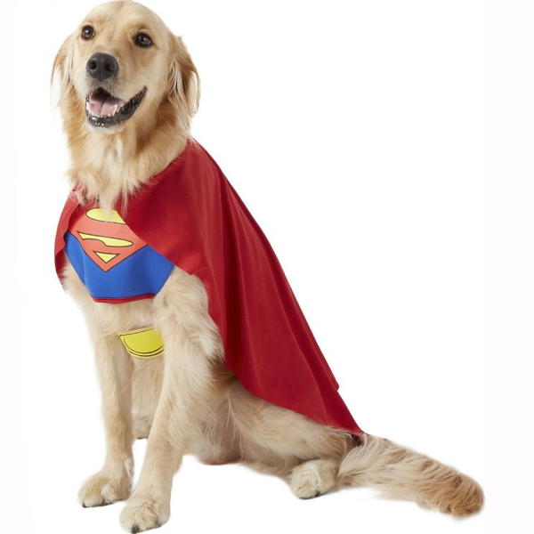 Classic Superman | Pet (Clearance)