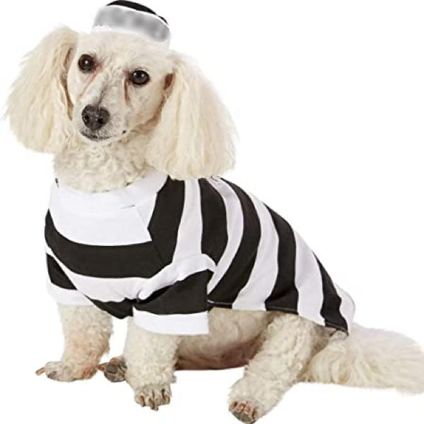 prison pet costume