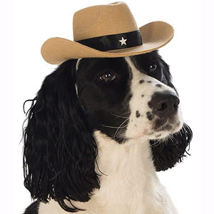 pet hat