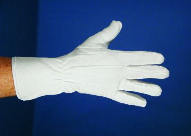 white santa gloves