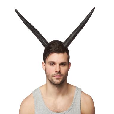 Impala Horns