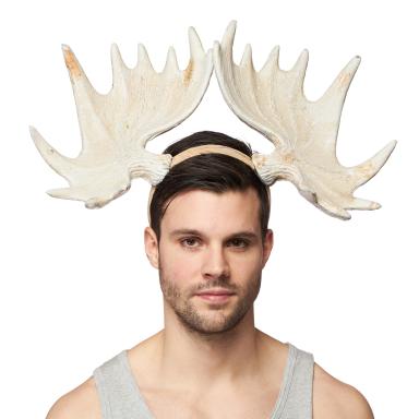 Moose Horns