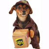 UPS Pet Delivery COstume
