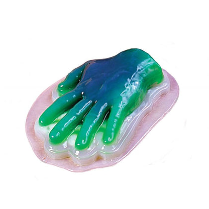 Gelatin Body Part Mold