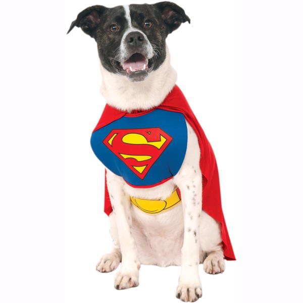 Classic Superman | Pet (Clearance)