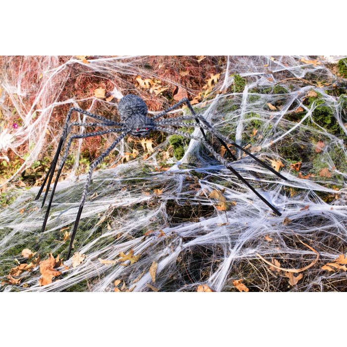 50" Fuzzy Spider