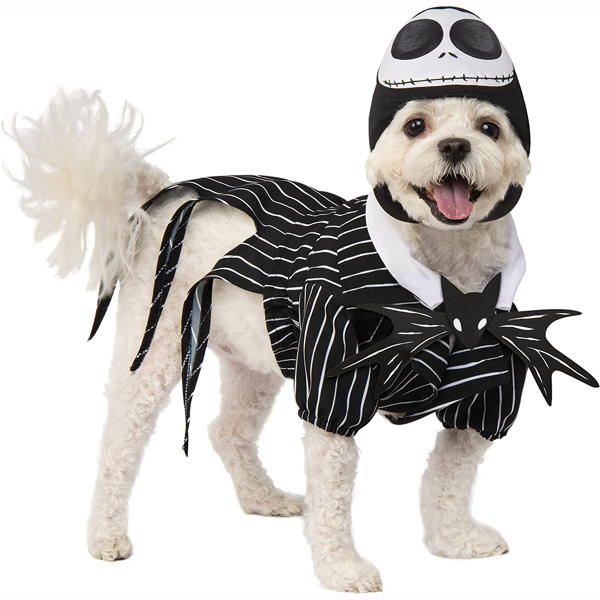 Jack Skellington | Pet (Clearance)