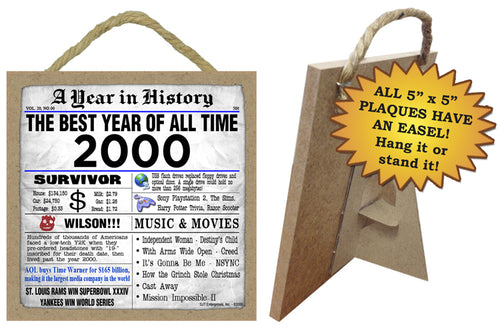 A Year in History Plaque 2002