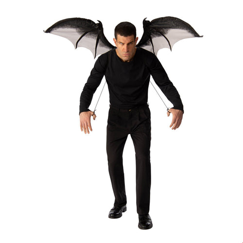 Moveable Black Wings