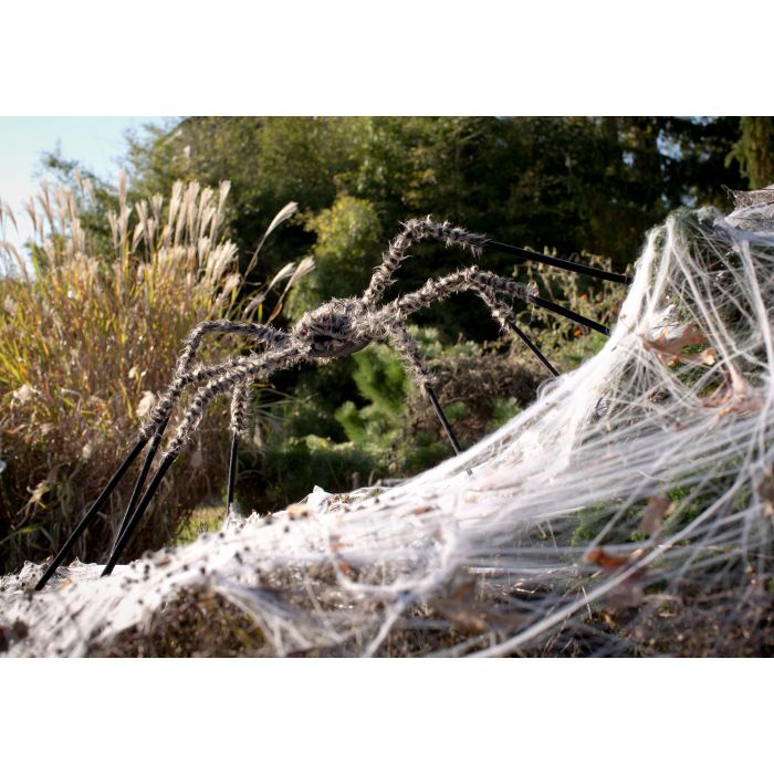 Fuzzy eight leg spider