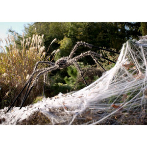 Fuzzy eight leg spider