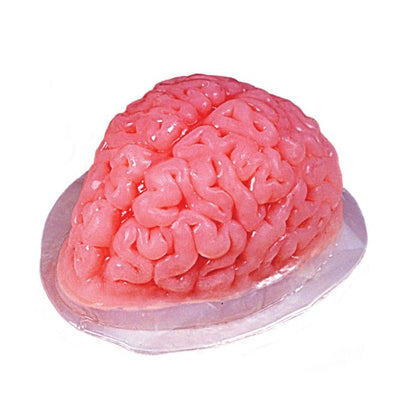 Mold for Edible Brain