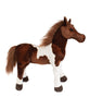 Brown & White Appaloosa Horse | Real Planet
