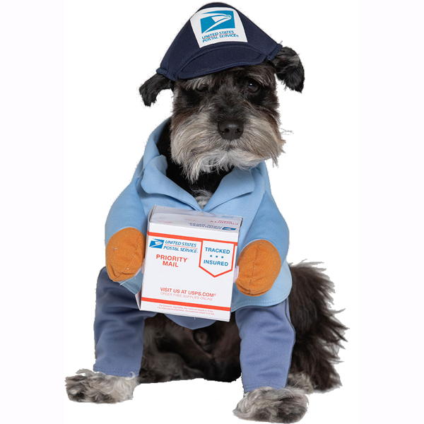 mail pet costume