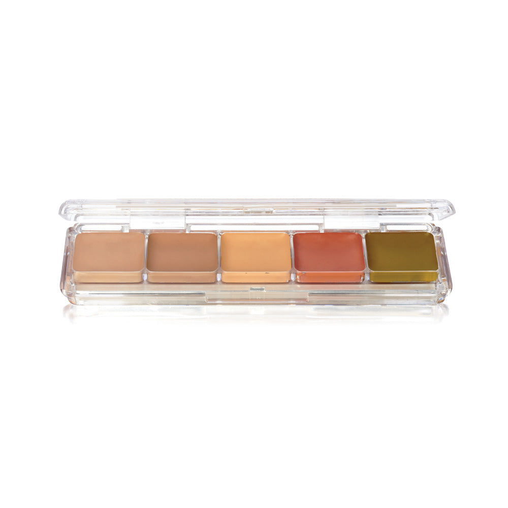 CONCEALER & ADJUSTER ALCOHOL PALETTE (AAP-23)