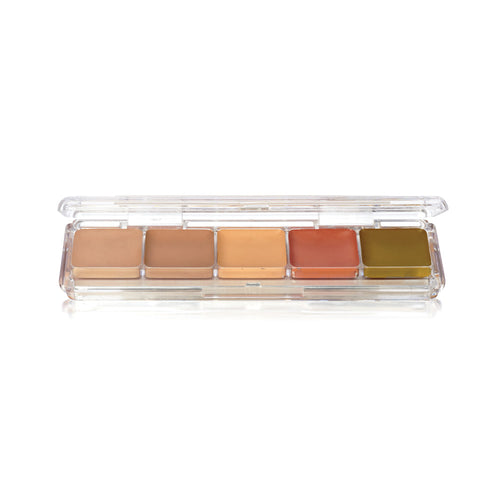 CONCEALER & ADJUSTER ALCOHOL PALETTE (AAP-23)