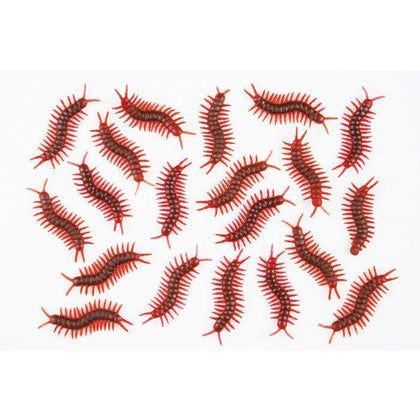 Leggy Centipedes