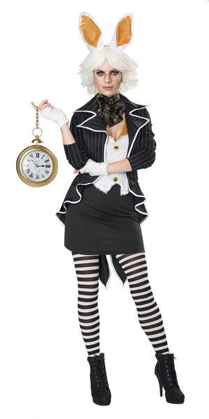 Black and White Rabbit
