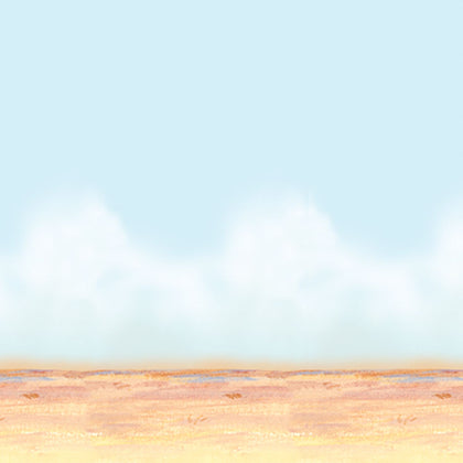 Desert Sky & Sand Backdrop 