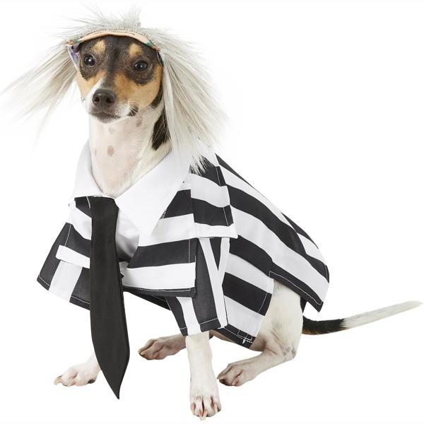 Black and white striped with wig pet