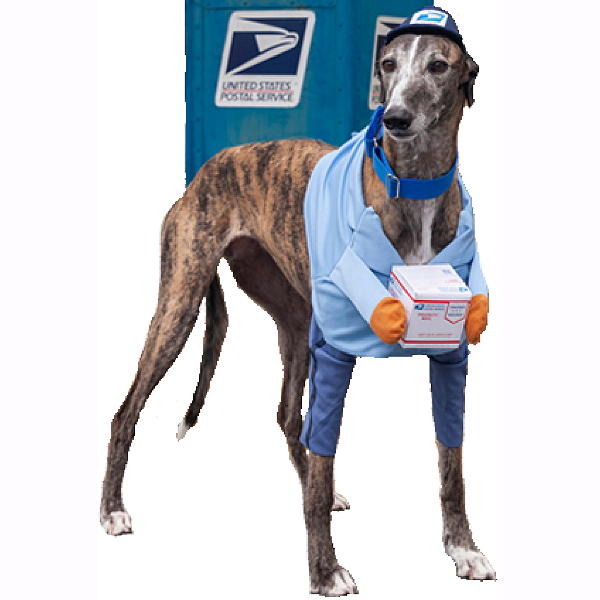 mail carrier pet costume