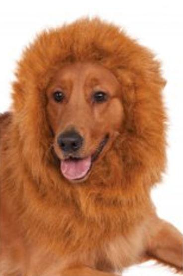 Mane with adjustable strap