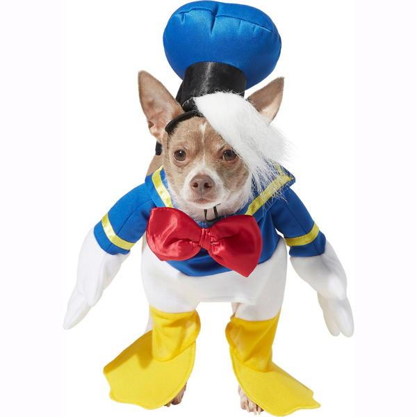 Dog Duck Costume