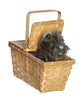Basket with handle to carry Toto