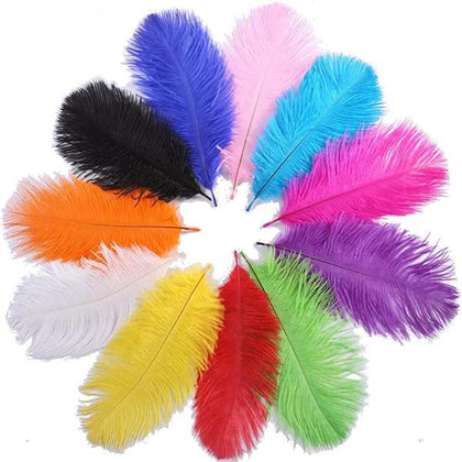 Ostrich feathers approx. 13-16