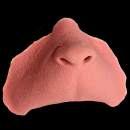 Elf Nose Black Label Latex -Tinsley Transfers BLL-007