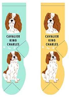 Cavalier King Charles Canine | Socks