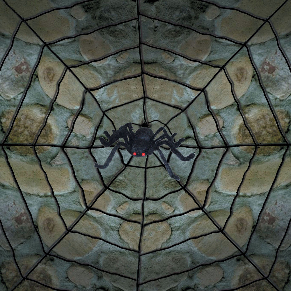 10ft Diameter Rope Spider Web & Spider | Halloween