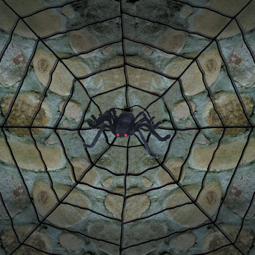 10ft Diameter Rope Spider Web & Spider | Halloween