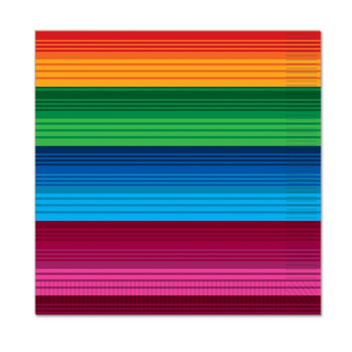 Serape Beverage Napkins 16ct | Fiesta