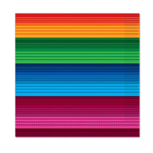 Serape Beverage Napkins 16ct | Fiesta