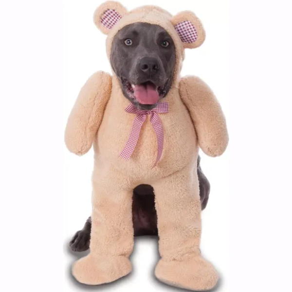 Walking Teddy Bear Costume | Pet (Clearance)