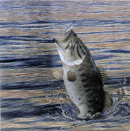 Gone Fishin' Beverage Napkin 16ct | Retirement
