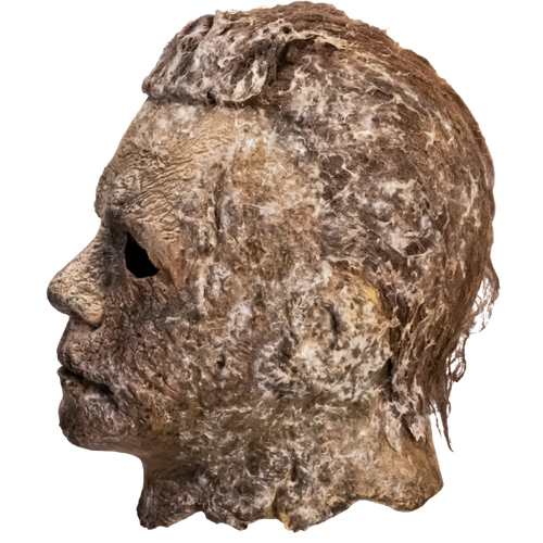 HALLOWEEN ENDS | MICHAEL MYERS MASK
