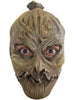 child scarecrow mask