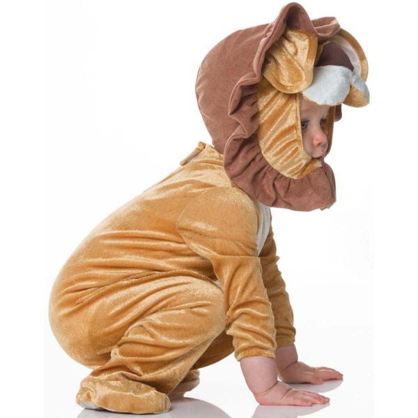 Loveable Lion Baby | Infant