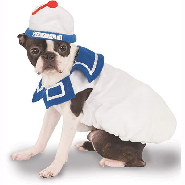 Shirt and Hat Pet Costume