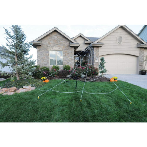 Mega Web with Spider