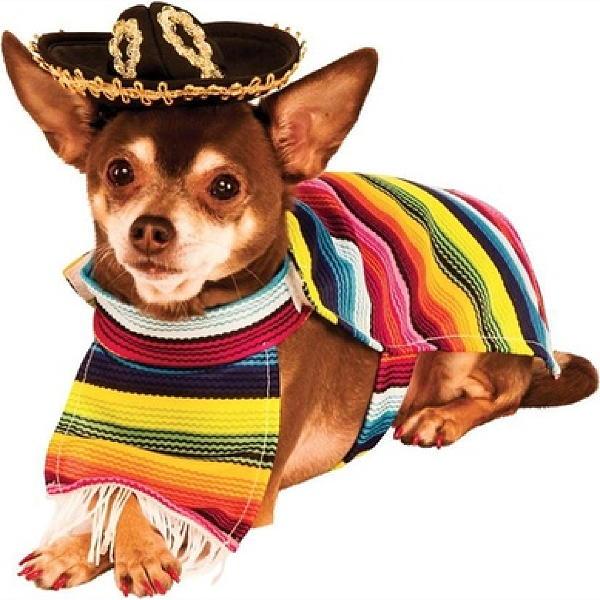 Mexican Serape Pet